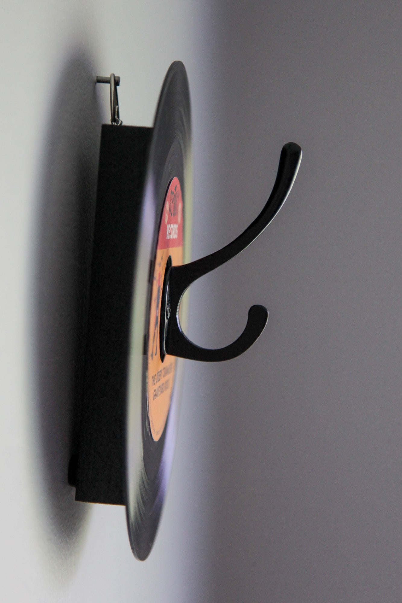 The Creepy Crawlers - halloween vinyl record hanger